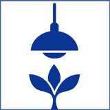 фитом